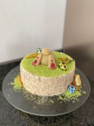 IMG 0559 C