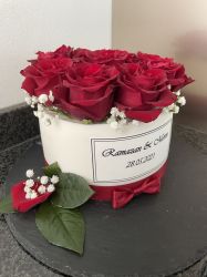 IMG 0563photo